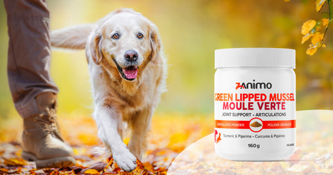 Ultime+, Formule Moule Verte - Articulations