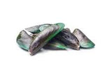 Ultime+, Formule Moule Verte - Articulations